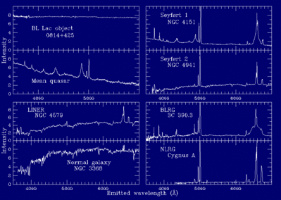 Optical spectra of various kinds of active galactic nuclei