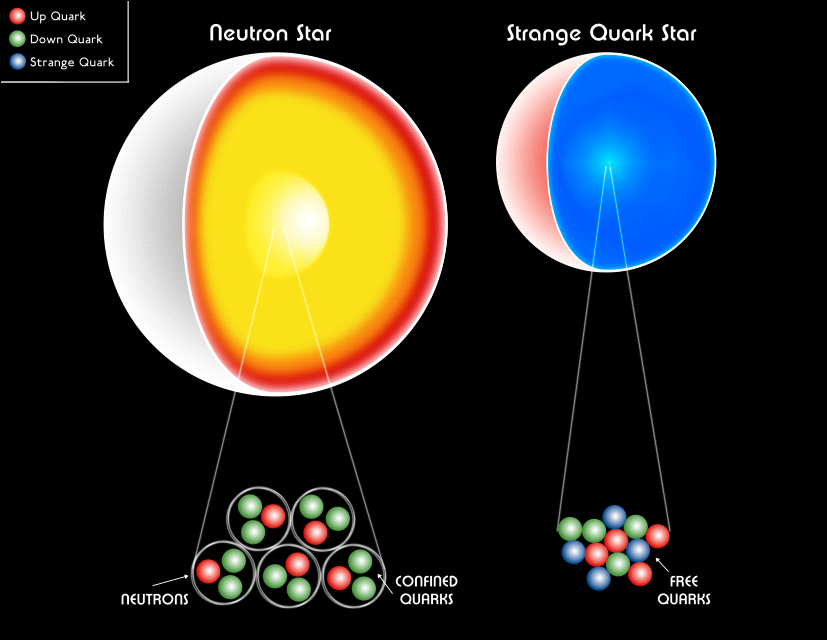 Structure of Neutron and Strange Quark stars