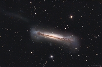 NGC 3628