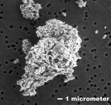 micrometeorite1.jpg